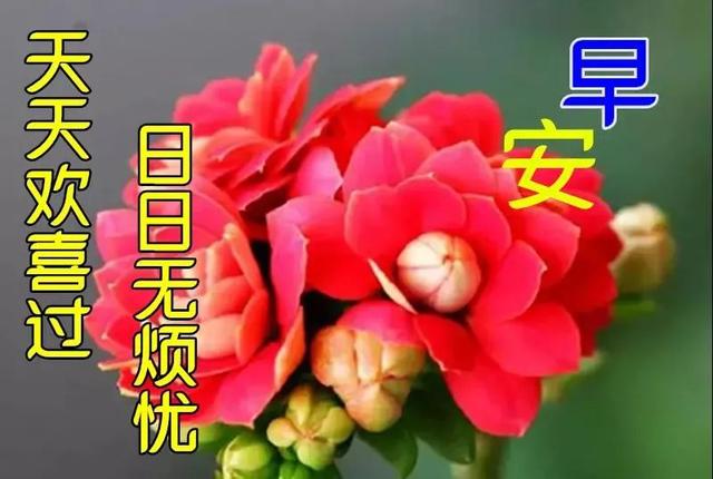 祝福全家的祝福语，2022年春节祝福语全家（直接群发家人朋友的早安祝福语精选大全）