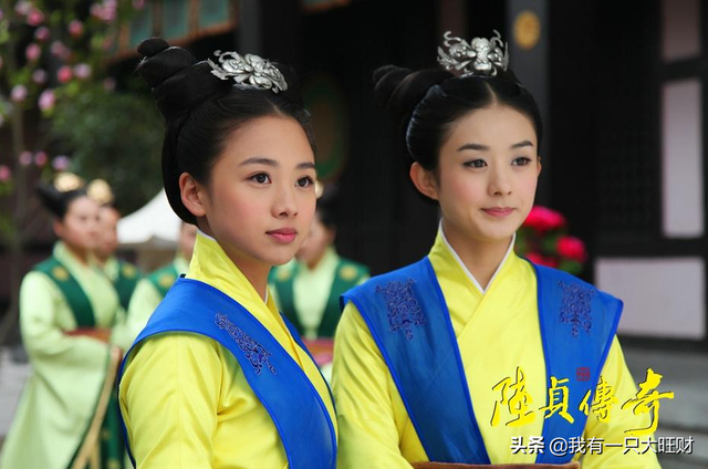 陆贞传奇剧情简介，电视剧陆贞传奇剧情介绍（《陆贞传奇》怕疼的何丹娘）