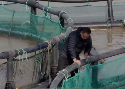 卖金鱼好赚吗，金鱼生意怎么样（别人不支持他偏要瞎折腾）