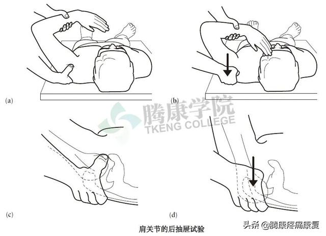 biceph，肩关节的特殊检查（bicep curl）