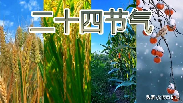 清明节是什么季节，清明是什么季节（春季的6个节气）