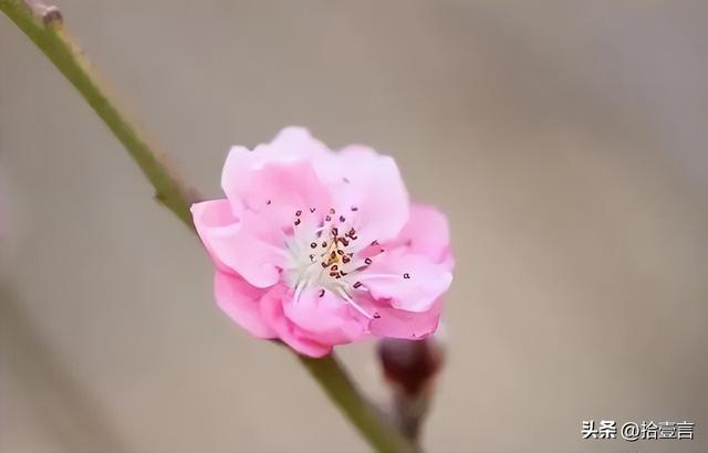 怎么样才是成熟稳重的人，身上往往有六个特征