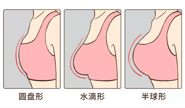 罩杯大小排列顺序，罩杯大小的顺序依次是多少（原来女生的胸部形状有那么多种）