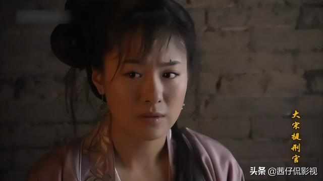 神探的电视剧有哪些,神探系列电影或电视剧有哪些(《大宋提刑官》9.