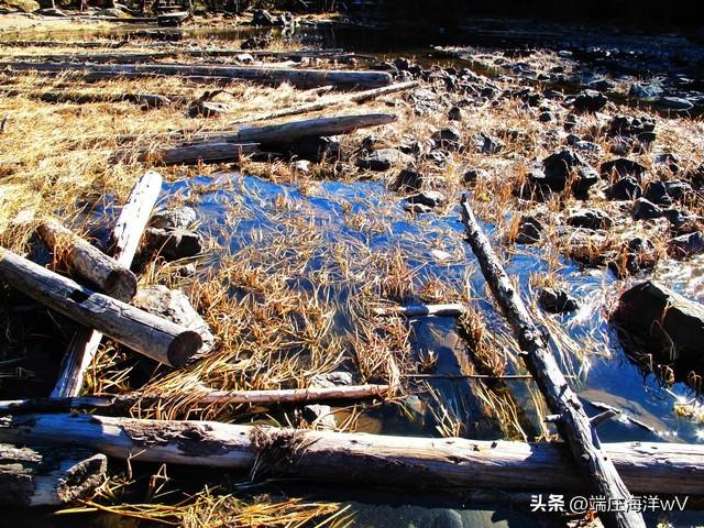 云南好玩的地方，去云南哪里比较好玩（云南十个推荐的旅游景点）