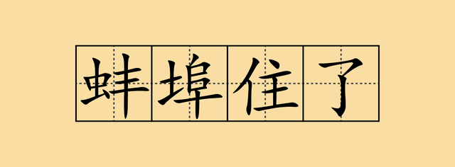 00后网络流行语，现在00后的流行语大全（这些流行用语火了，你知道几个）