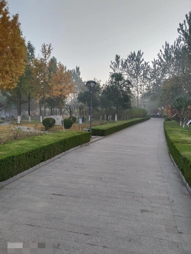 抖音怎么拍长视频，抖音怎么拍长视频60秒（怎么拍抖音小视频）