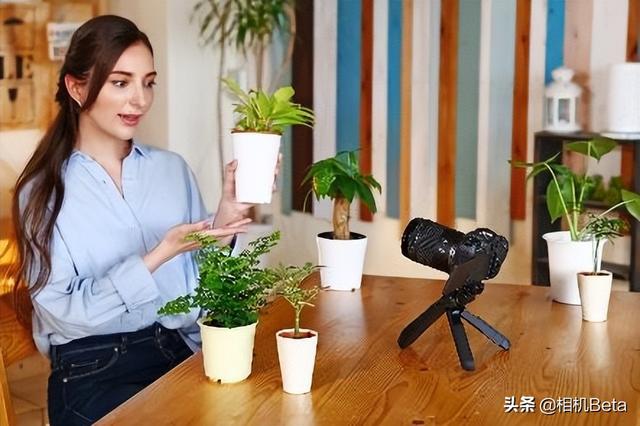 佳能广角镜，佳能广角镜头哪款性价比高（15-30mm）