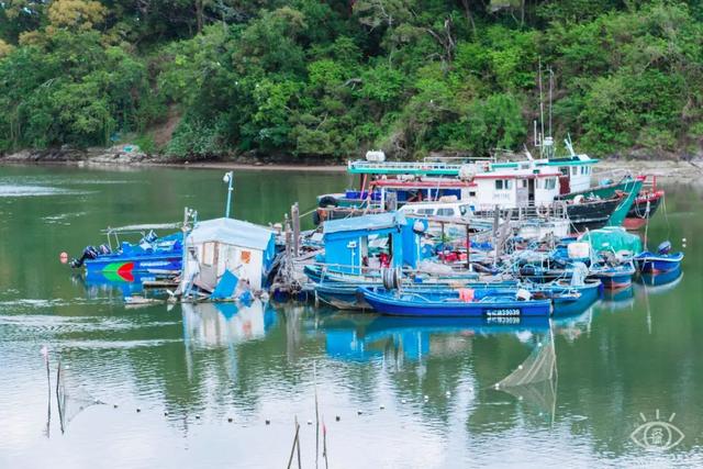 深圳一日游免费必去的地方，深圳最适合一日游的15个免费景点（深圳10个小众打卡地）
