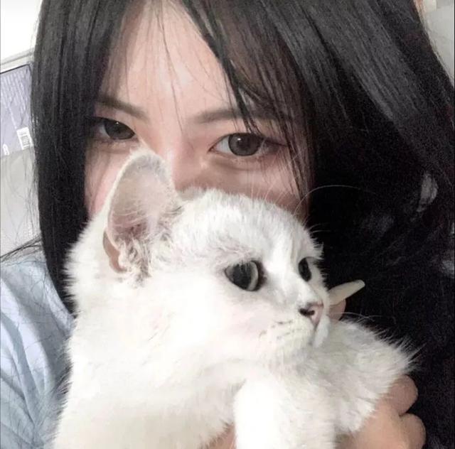 猫系女孩，微信头像，猫系女孩（女生头像：抱猫头像）