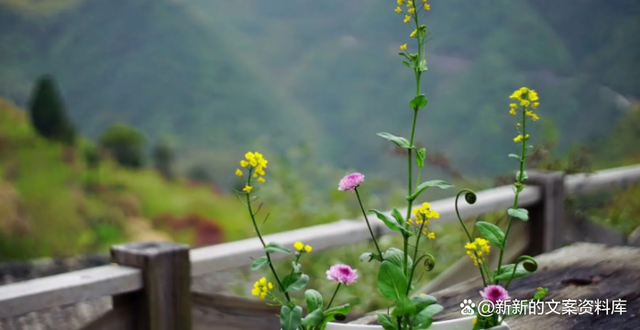 经典生活的话语录，生活的语录经典语录（记录美好生活的朋友圈短句说说）