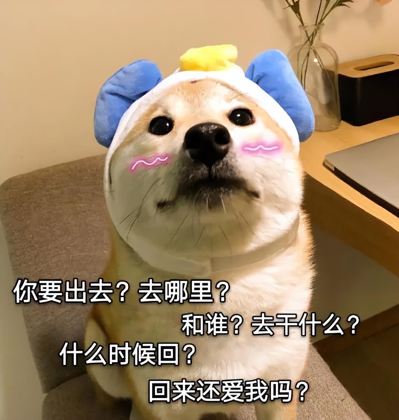 狗狗趴在我身上很快就能睡着，狗狗趴在我身上很快就能睡着为什么（真的是因为爱你吗）