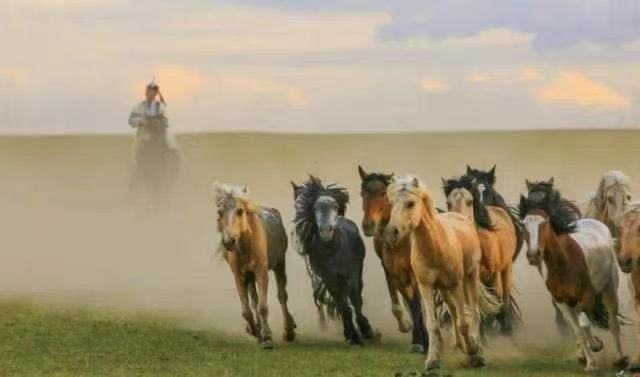 蒙古民歌歌曲全集，求悠长的蒙古歌曲名字（《故乡的蒙古马》李昌明词）