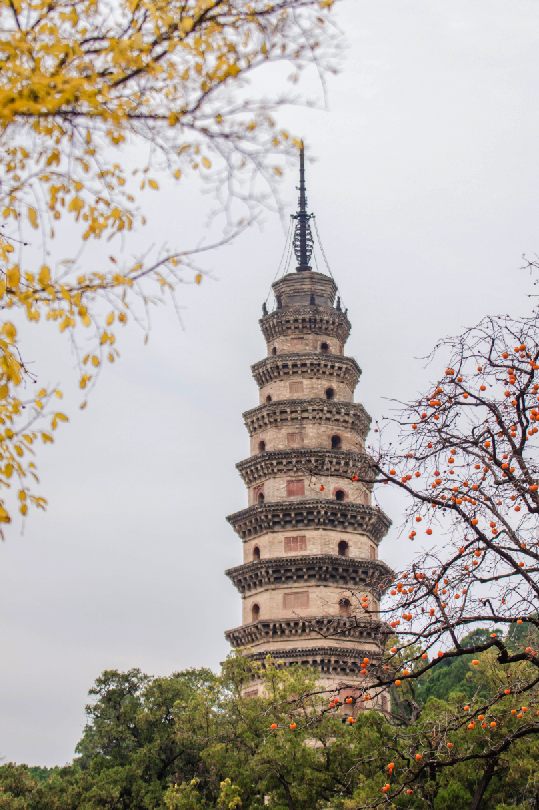 中国有什么塔，中国有什么塔是八层（赏析丨50座中国古塔）