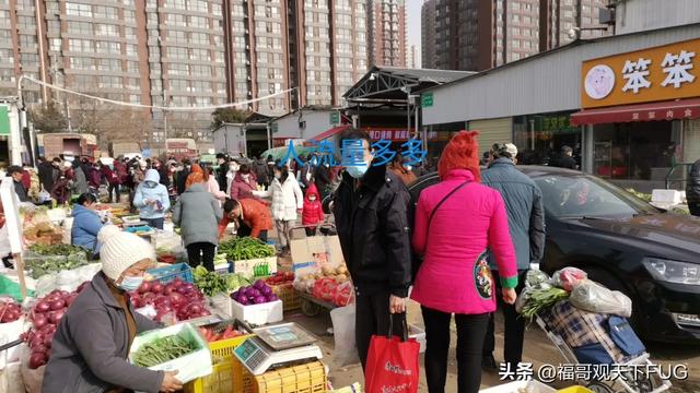 西安今日水果批发价格查询，带大家看看物价怎样