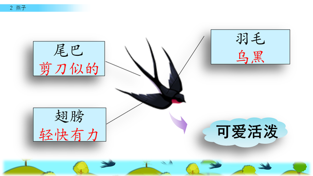 燕子的三大特点，燕子 有什么特点（三年级人教版语文下册《燕子》课文讲析及课后作业参考）