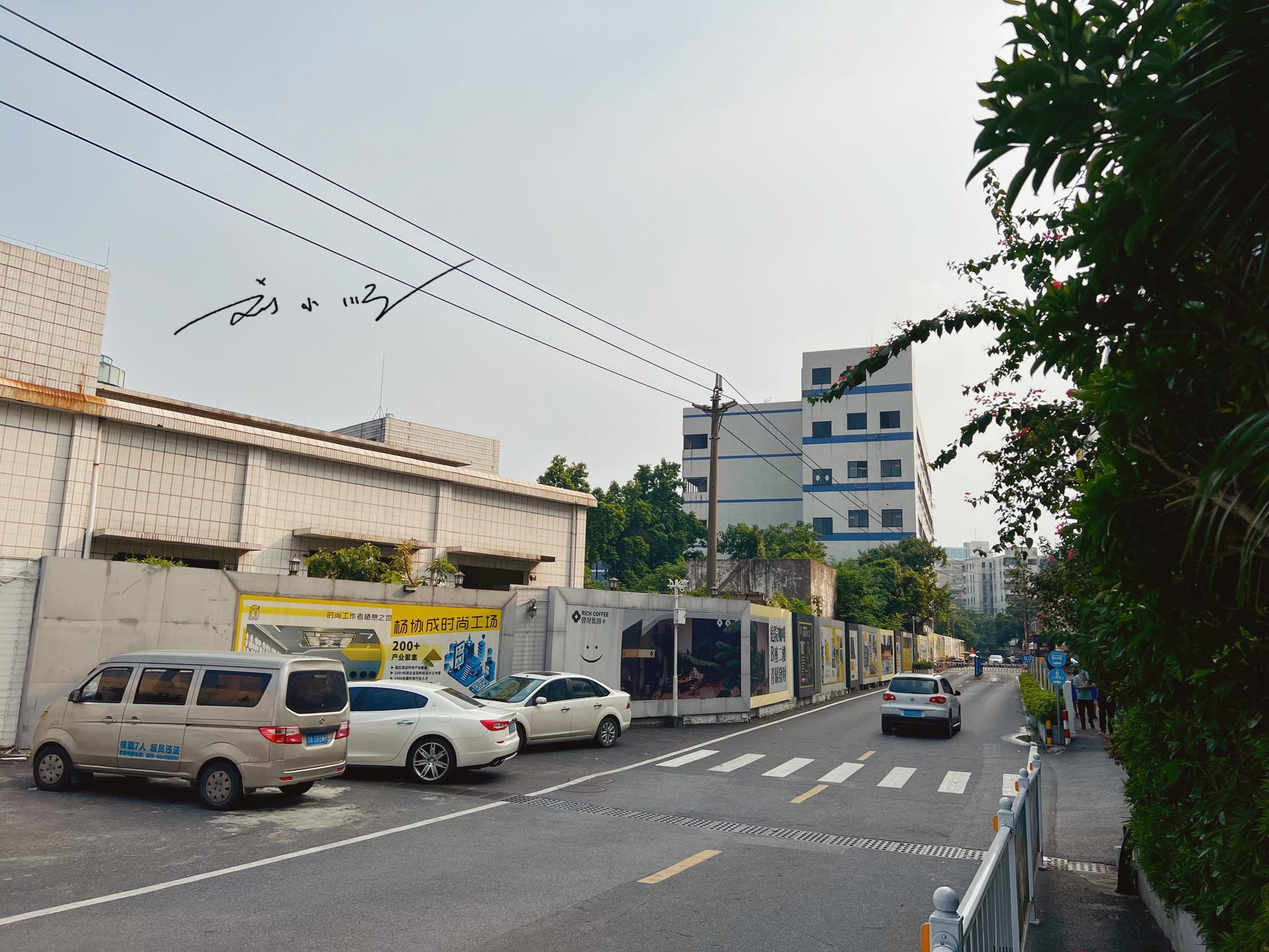 广州市是哪个省(广东省有几个一线城市)