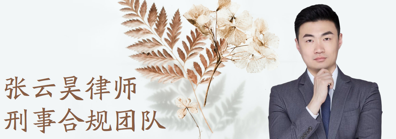 律师尽职调查报告（张云昊刑事合规律师团队）