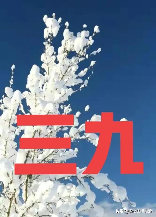 一九有雪的谚语，数九寒天～三九到了吗