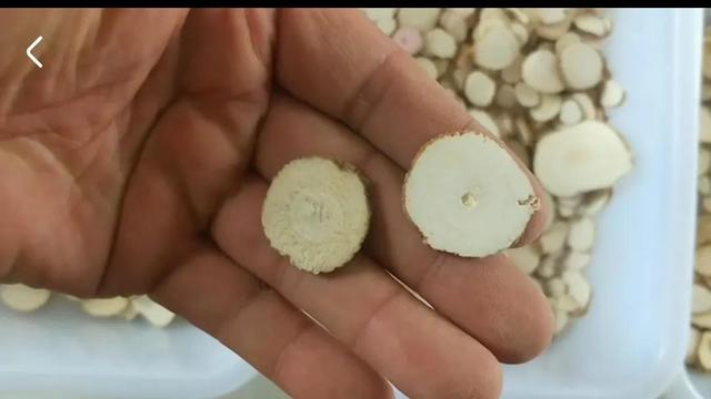 白芷是什么调料，白芷，香料界的斜杠青年