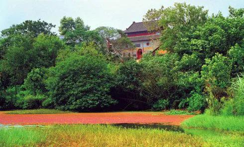 蔡山江心寺图片