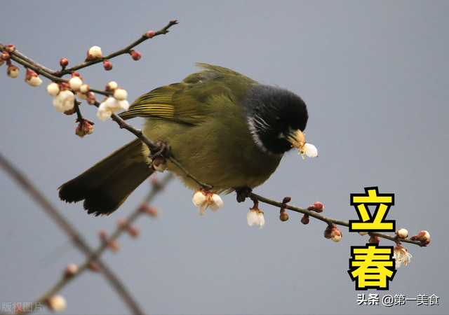 立春那天可以出门吗，立春可以出门吗（4个生肖要“躲春”）