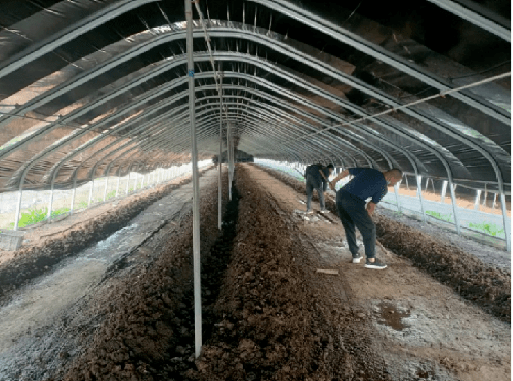 我国早在七八十年代就已经有了蚯蚓养殖技术.