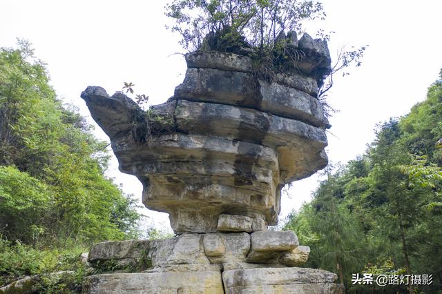 南川区十大必去景点，环金佛山178公里