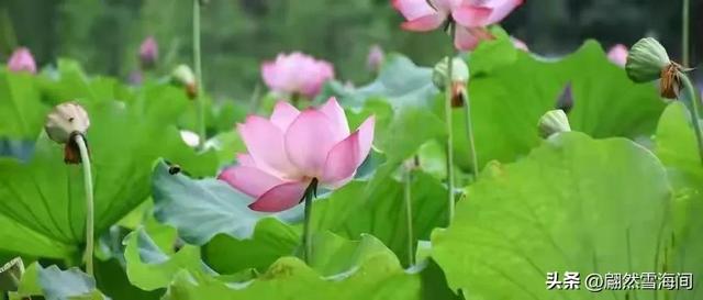 生日古诗词名句送自己，适合自己生日发的诗词（逢年过节可以派上用场）