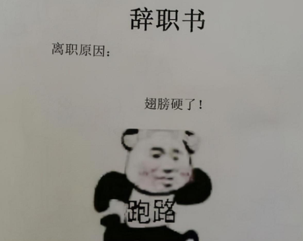 学校辞职信（我嫌你中年油腻）