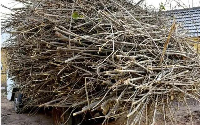 农村做什么生意赚钱，农村做什么小生意赚钱（三个不起眼却很暴利的小生意）