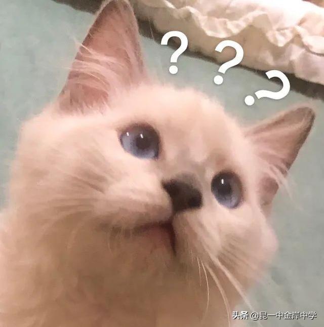 英语手抄报图片，英语手抄报图片简单又漂亮（趣味英语手抄报）