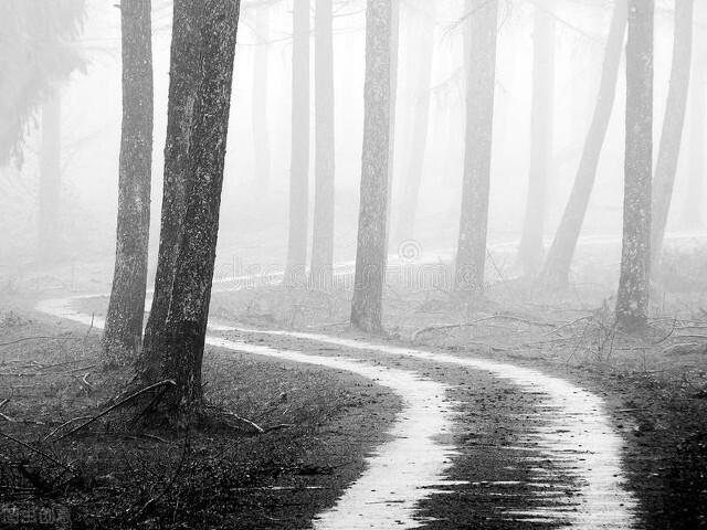 黑白伤感爱情文字图片，黑白悲伤爱情图（从失去你的那一刻开始）