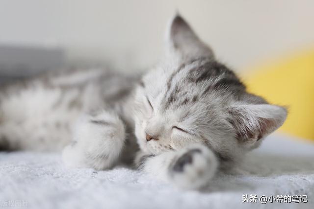 睡前一招马上入睡，明明很困却翻来覆去睡不着（1分钟快速入睡法）