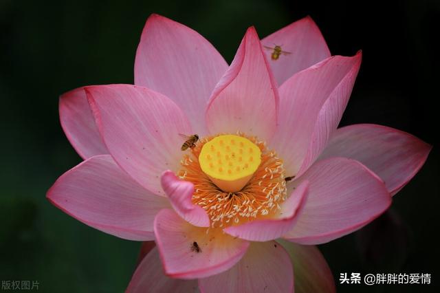 看淡生死的句子，看透生死经典句子（一切随缘；看淡人心）