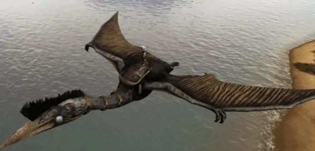 方舟生存进化鱼龙怎么驯服，方舟生存进化鱼龙驯服度下降（生存进化》必驯生物攻略）