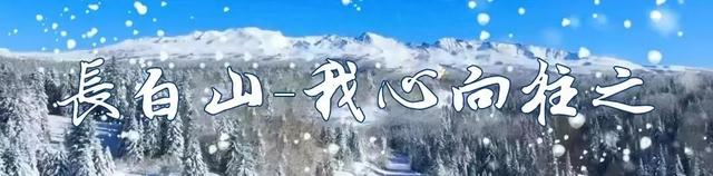长春-长白山 | 繁花相伴，共赴山水间
