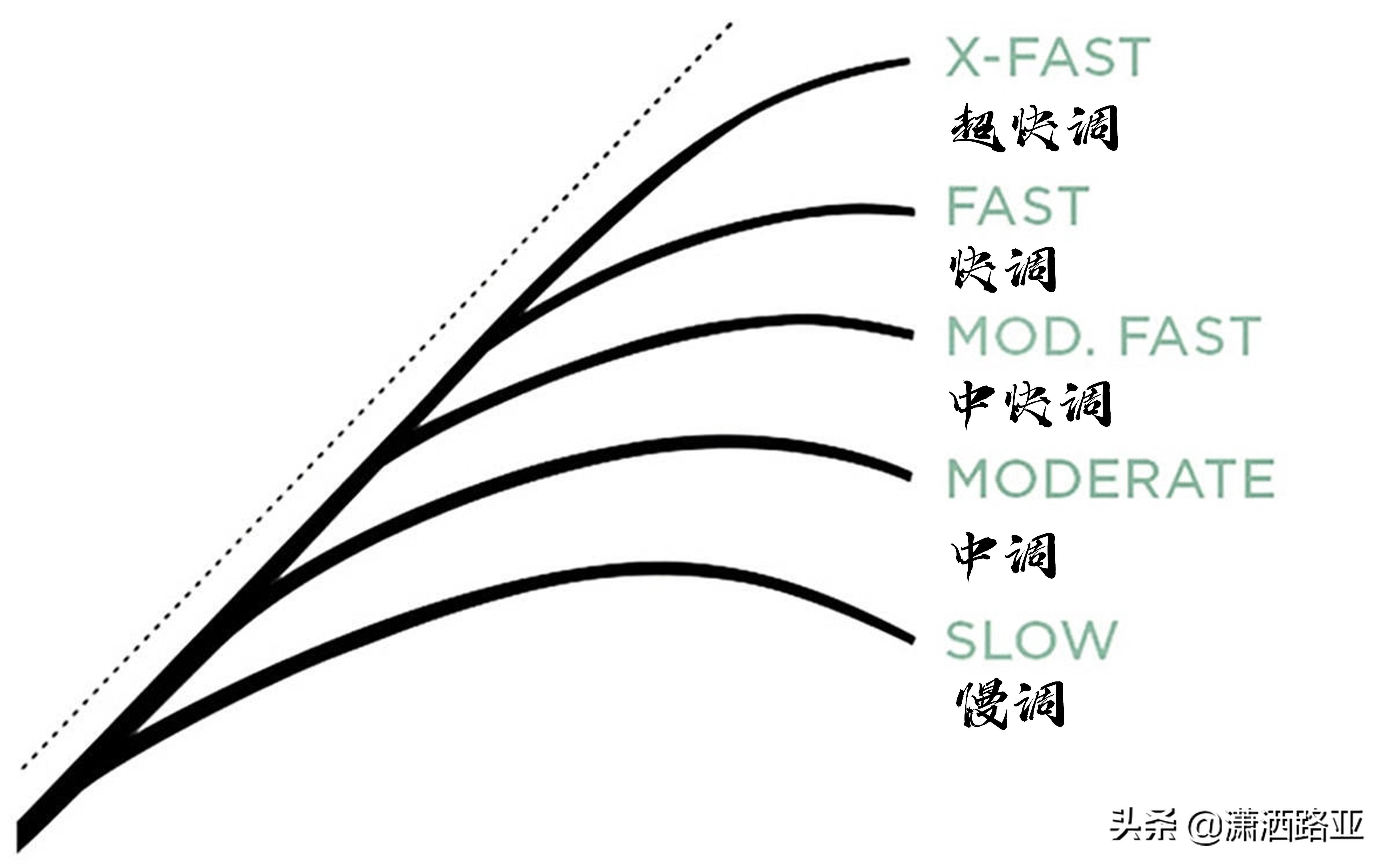 路亚竿选购与使用技巧全解析：新手入门必备指南