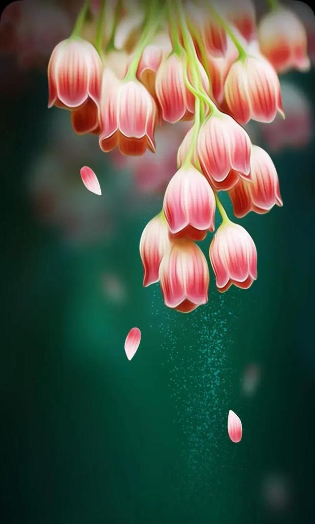 唯美意境花朵,唯美花朵意境图片 风景 淡雅(春的颜色唯美意境背景图)