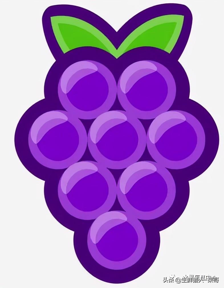 浆果是什么，浆果是什么软件（不同水果的不同包装<浆果篇>）