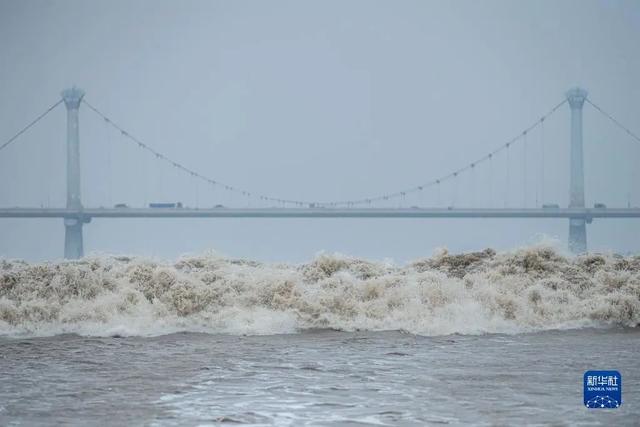 钱塘江入海的地方叫什么湾，钱塘江入海是什么海（世界潮我看丨农历八月十八日）