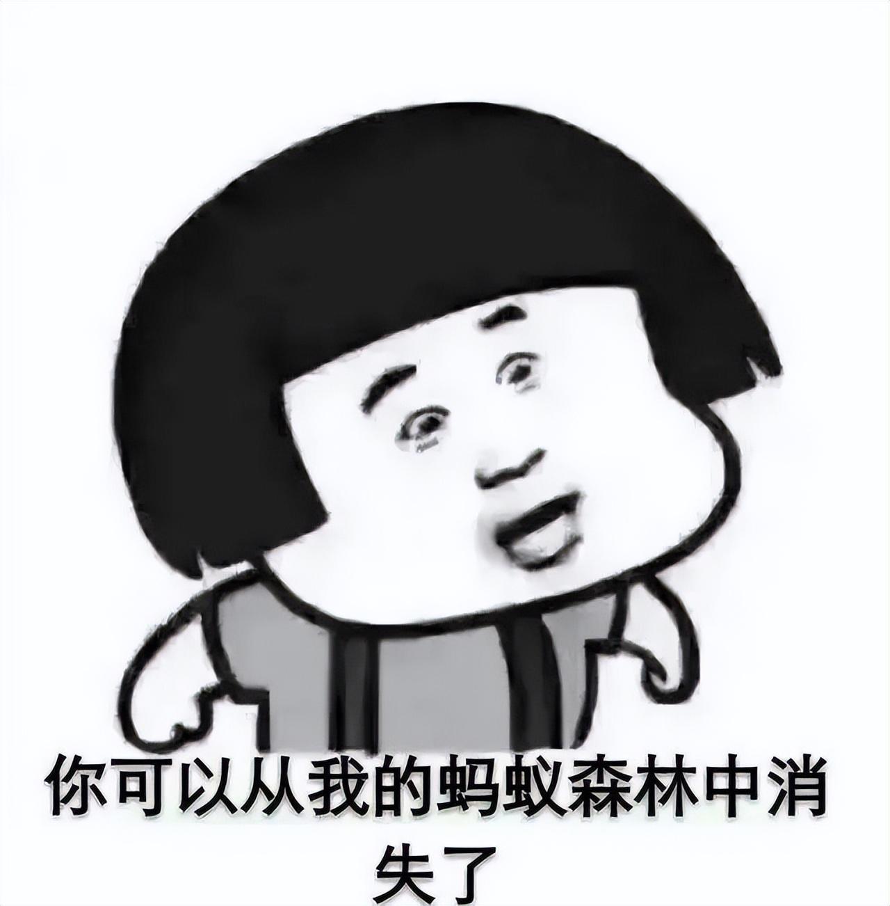 支付宝蚂蚁森林(蚂蚁森林互加好友群500人)