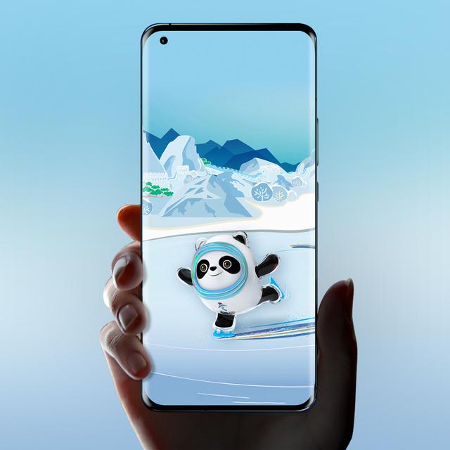 冰墩墩都有什么样的，冰墩墩高清壁纸（关于冰墩墩的介绍）