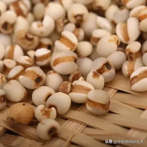 薏仁粥，薏仁粥升血糖吗（张锡纯的珠玉二宝粥）