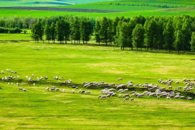夏天哪里旅游好，16个夏天最值得去的地方（六七月份值得推荐的8个绝美景点）