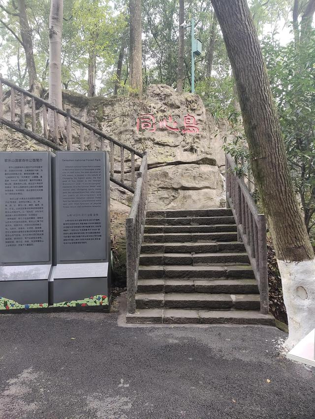 歌乐山森林公园，重庆旅游必去景点（歌乐山国家森林公园）