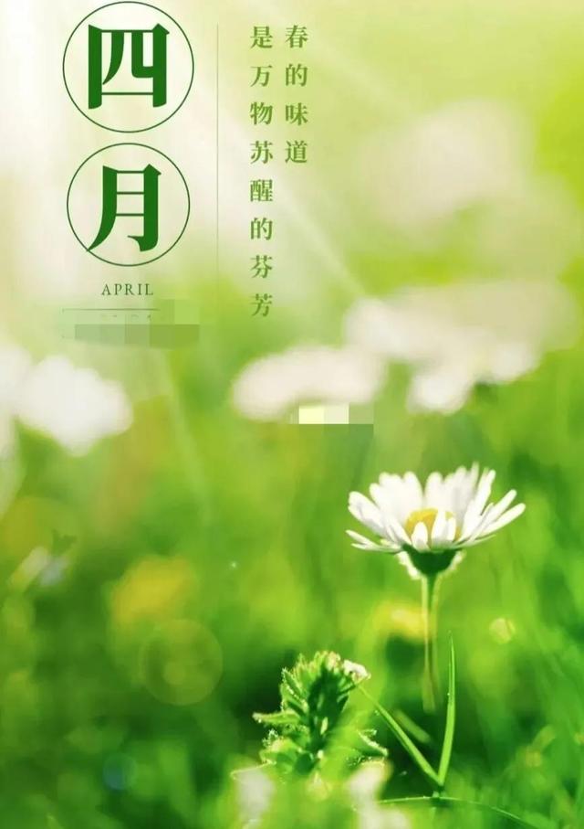 表达美好祝愿的句子，水调歌头表达美好祝愿的句子（四月美好祝福唯美句子）