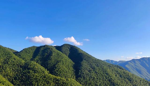 白云山在哪里，啸鹏丨白云山头云欲立（白云山风景区）
