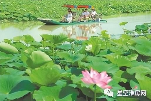 淮北旅游景点大全，淮北文旅局推荐淮北八大旅游打卡点（淮北旅游景点大全免费）