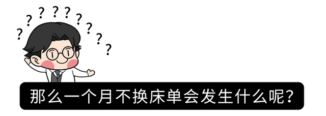 床单床单怎么洗，床单怎么清洗（床单30天不洗究竟有多脏）